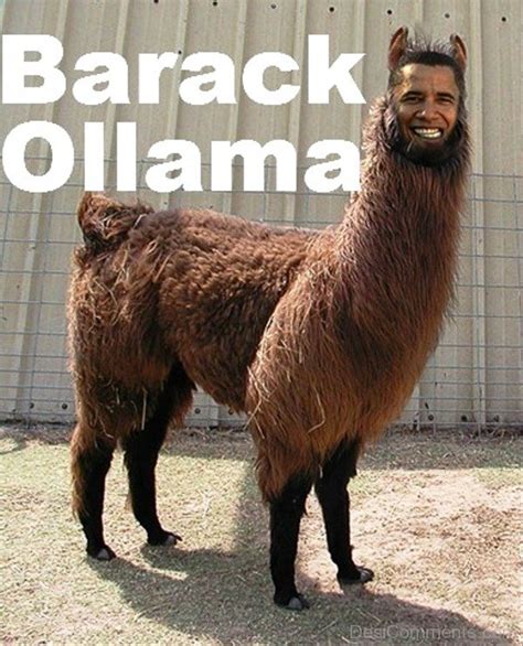 50 Most Funniest Barack Obama Memes Funny Pictures