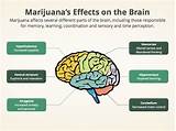 Photos of Marijuana Memory Effects