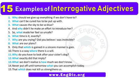 Examples Of Interrogative Adjectives In Sentences EngDic