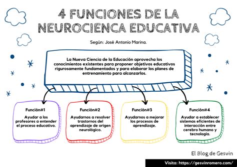 4 Funciones De La Neurociencia Educativa Infografía Blog De Gesvin