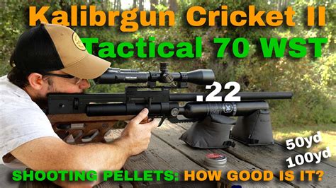 Kalibrgun Cricket Ii Tactical 70 Wst 22 Review Shooting Pellets How