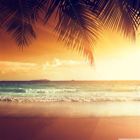 Beach Scene Sunset Ultra Hd Desktop Background Wallpaper For 4k Uhd Tv
