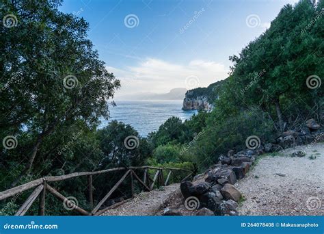Beach Access Leading To A Secluded Beach Through Forest On The Rugged