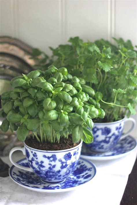 Indoor Herb Garden Ideas Creative Juice
