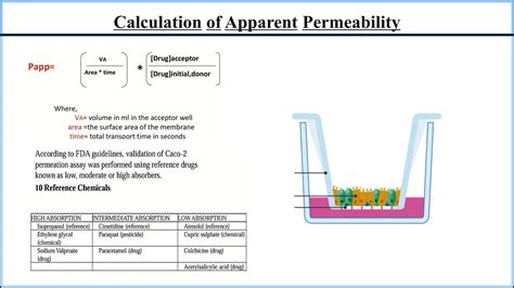 Cell Permeability Assays Caco Cell Permeability Pampa Membrane Assays Ppt