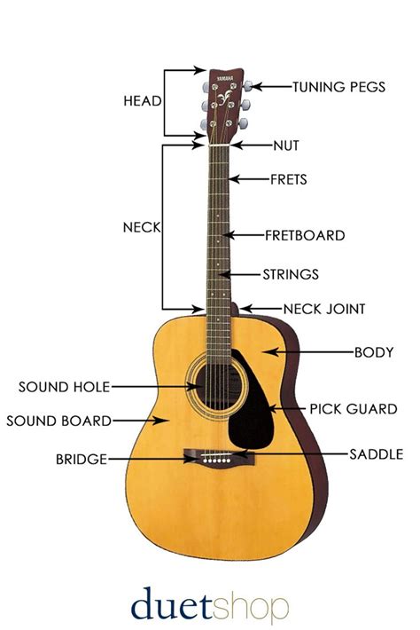 The Anatomy Of The Acoustic Guitar Guitar Images Acoustic Guitar Guitar