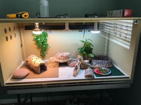 Diy Bearded Dragon Cages View Topic Diy 4x2x2 Cage Finished
