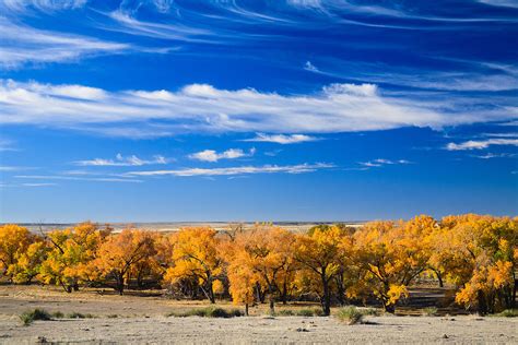 Western Kansas Fall Color Photograph By Paul Moore Fine Art America