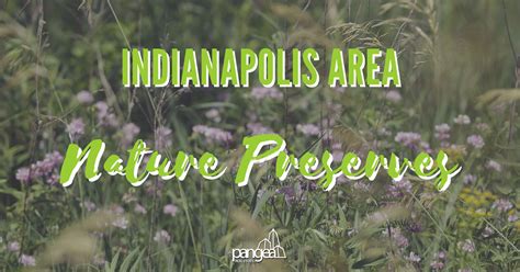 Top Nature Preserves Near Indianapolis For A Fun Summer Day Trip