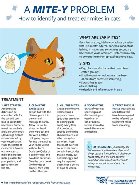Fact Sheets Humanepro By The Humane Society Of The United States