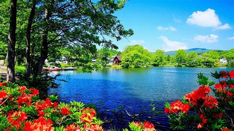 Peaceful Lake Forest Houses Flowers Peaceful Nature Trees