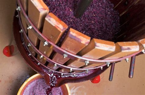 How Red Wine Is Made Wine Enthusiast
