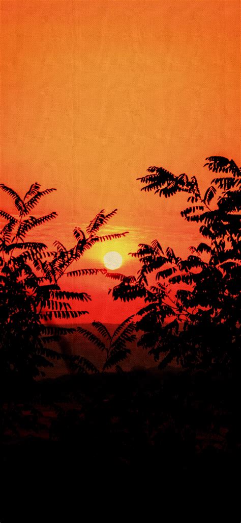 Free Download Iphone Sunset Canvas Wallpapers 1893x4096 For Your