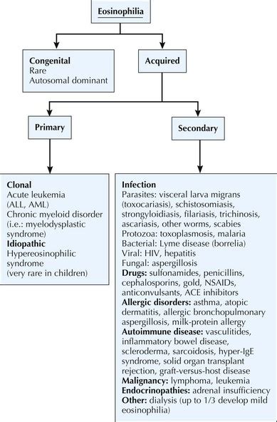 Disorders Of White Blood Cells Clinical Gate