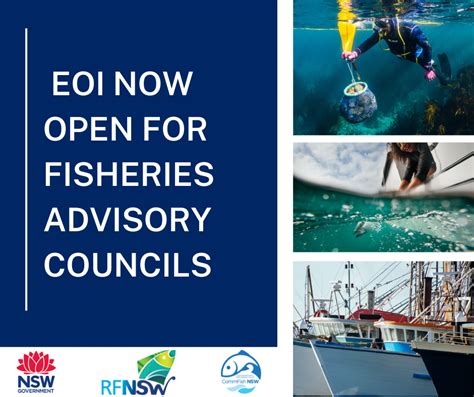Calling All Fishers Eoi Now Open For Fisheries Advisory Councils