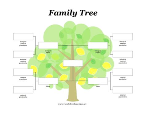 Familytree.com is a genealogy, ancestry, and family tree research website. Where can you find a printable family tree template?