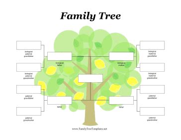 Discover your dna story and unlock the secrets of your ancestry and genealogy with our autosomal dna, ydna and mtdna tests! Where can you find a printable family tree template?