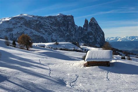 Seiser Alm Alpe Di Siusi Południowy Tyrol Włochy Informacje Opis