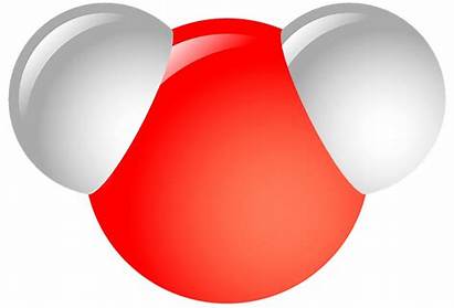 Mickey Water Mouse Clip Ears Molecule Lens