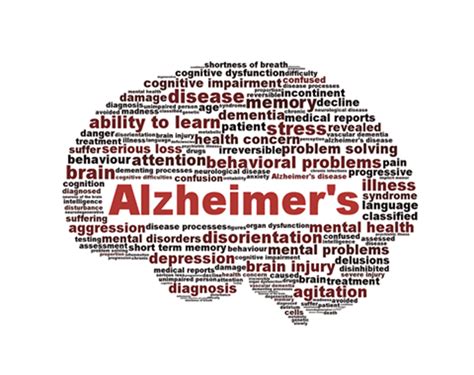 can memory loss in alzheimer s disease by reversed dr rangan chatterjee