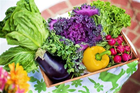 Lembaran Kerja Sayur Sayuran Sayur Jenis Daun Gavin Marshall
