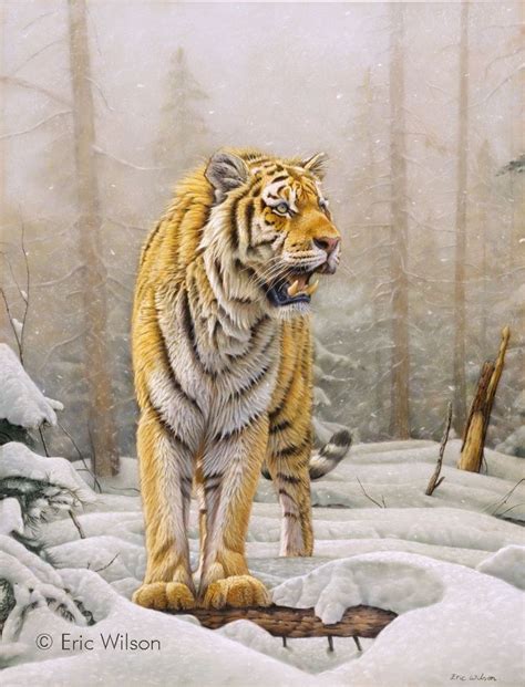 Amur Siberian Tiger In The Snow Pastel 19 X 25 Inches Original