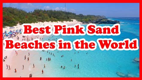 5 Best Pink Sand Beaches In The World Love Is Vacation Youtube