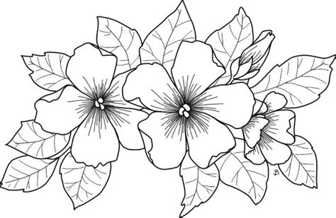 Dibujo Para Colorear Flor Dibujos Para Imprimir Gratis Img 18560