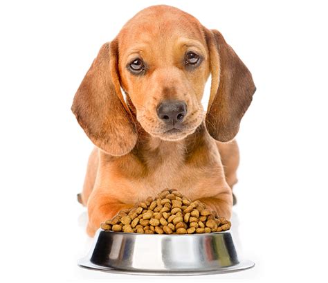 Because canada is so huge… i've organized it by province for your convenience. Canadian Natural Dog Food | Petsourcing