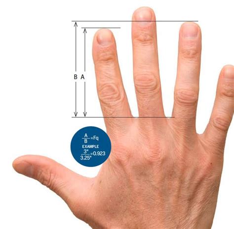how to grow the length of hand finger quora