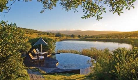 Take A Dip At The Local Watering Hole In South Africa Jetsettercurator