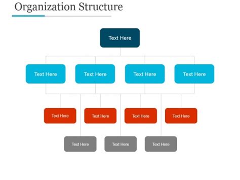 Organization Structure Ppt Powerpoint Presentation Styles Powerpoint