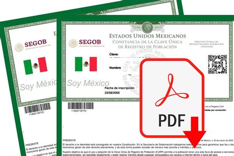 ¿te Piden La Curp Cómo Descargar El Documento En Pdf Gratis En Internet