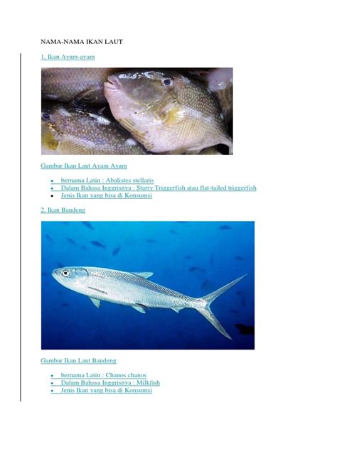 Lagi syantik versi nama nama ikan part 2 part 1 : Nama Nama Ikan Laut Dalam Bahasa Inggris