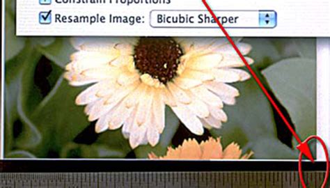 Explaining Image Resolution And View Print Size Planet Photoshop