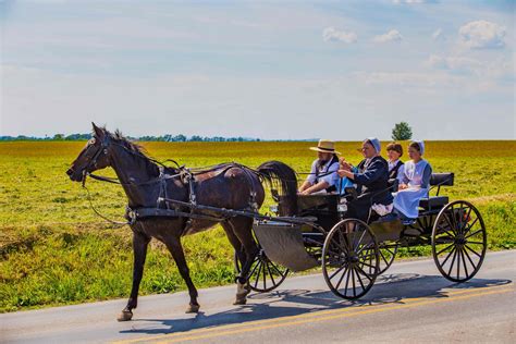 Tour De La Cultura Amish Cataratas Del Niágara