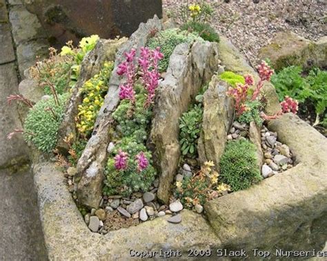 Rock Container Naturalistic Sliced Rock Planted Container Rockery