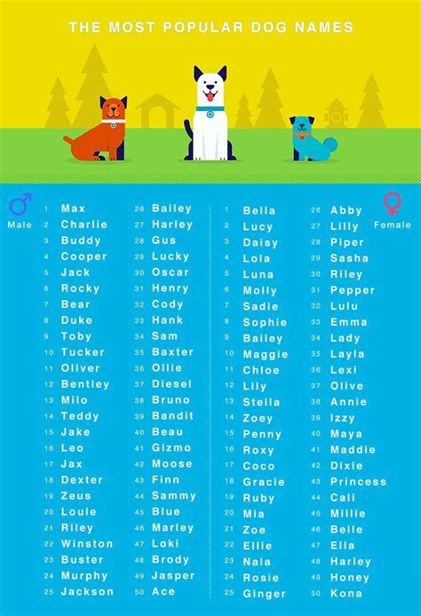 Pin By Payten Torrez On Pet Names In 2020 Cute Names For Dogs Dog