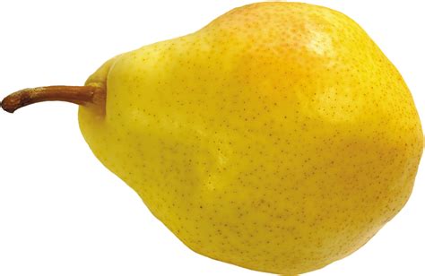 Pear Png Image Purepng Free Transparent Cc0 Png Image Library