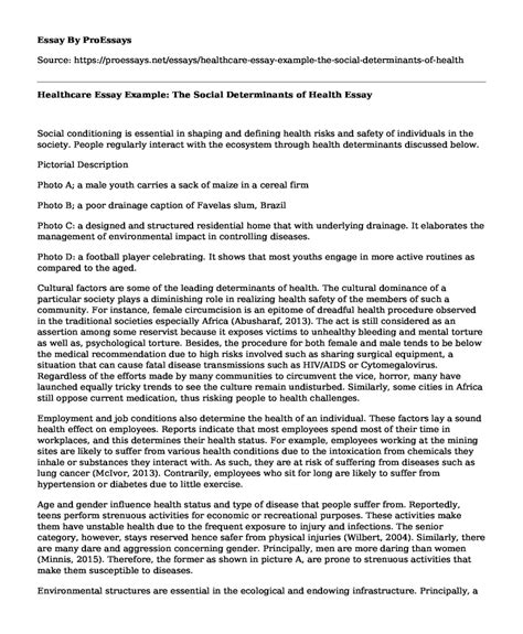 Healthcare Essay Example The Social Determinants Of Health Free
