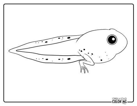 Tadpole Coloring Pages Free Pdf Printables Simply Love Coloring