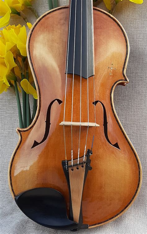 No 498 The Asymmetric 5 String Violin Sold Tim Phillips Violins