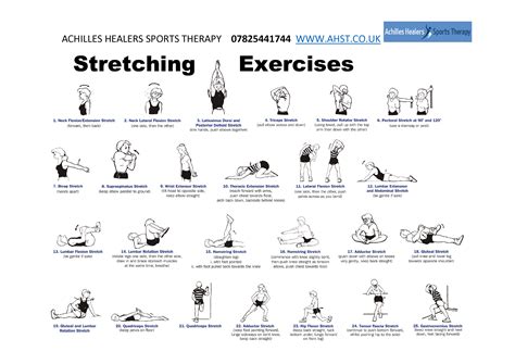Everyday Stretches Infographic Best Stretching Exerci