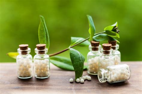 10 Remédios Homeopáticos And Seus Usos Comuns Vitacost Blog Trend