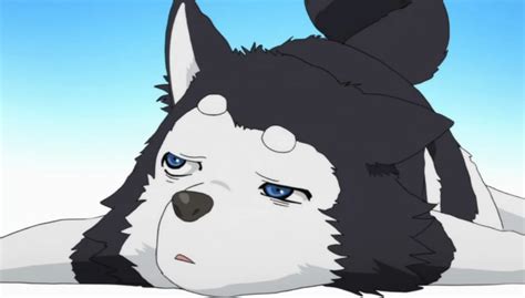 10 Most Loved Dogs In Anime Otakukart