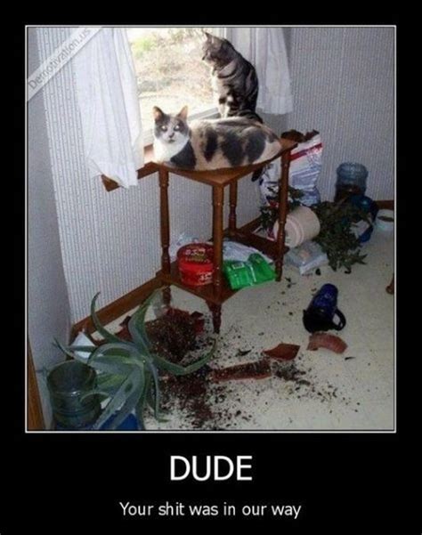 Funny Demotivational Posters Feb 18 2013 34 Pics