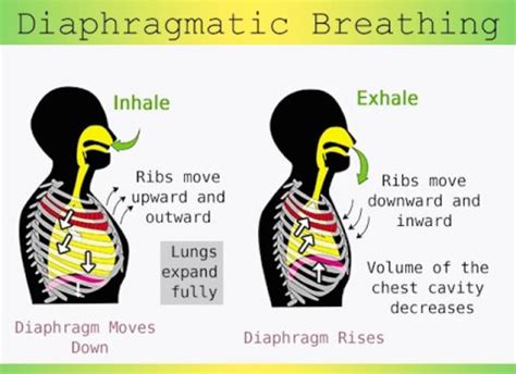 Reduce Stress With 3 Simple Breathing Exercises Buteyko Breathing