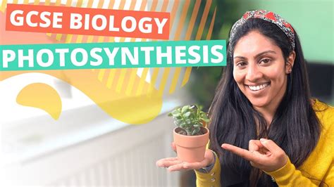 Photosynthesis Gcse Biology Youtube