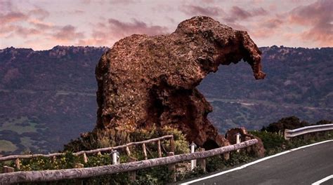 The Unusual Elephant Rock Formation in Castelsardo