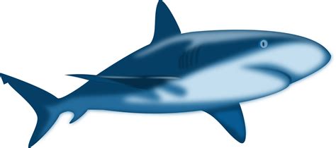 Free 77 Png Baby Shark Svg Free Svg Png Eps Dxf File